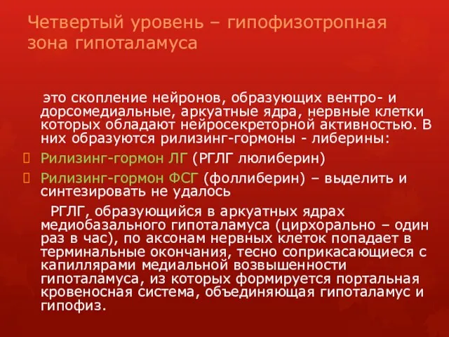 Четвертый уровень – гипофизотропная зона гипоталамуса это скопление нейронов, образующих