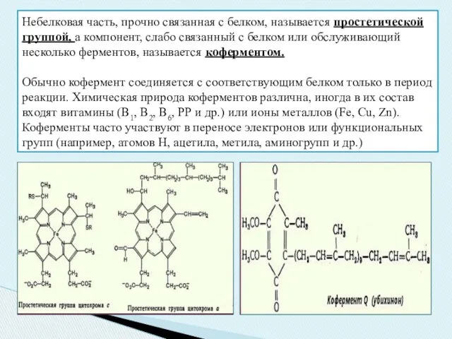 Небелковая часть, прочно связанная с белком, называется простетической группой, а