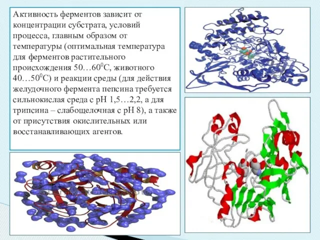 Активность ферментов зависит от концентрации субстрата, условий процесса, главным образом