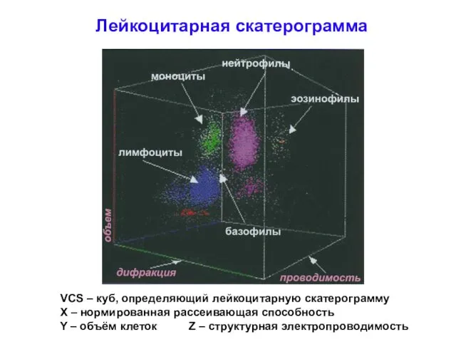 Лейкоцитарная скатерограмма VCS – куб, определяющий лейкоцитарную скатерограмму Х –