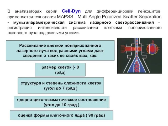 В анализаторах серии Cell-Dyn для дифференцировки лейкоцитов применяется технология MAPSS