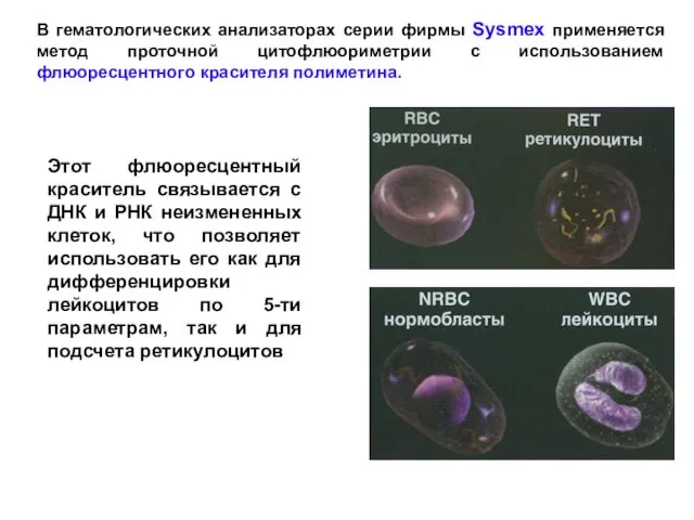 В гематологических анализаторах серии фирмы Sysmex применяется метод проточной цитофлюориметрии