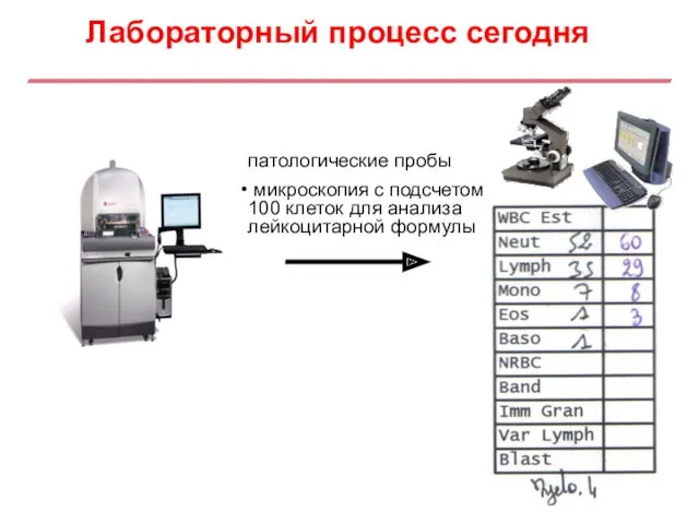 патологические пробы микроскопия с подсчетом 100 клеток для анализа лейкоцитарной формулы Лабораторный процесс сегодня