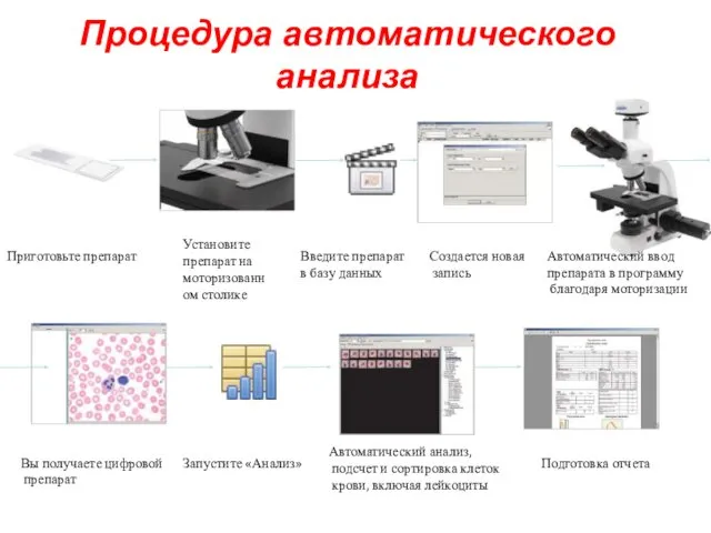 Процедура автоматического анализа Установите препарат на моторизованном столике Приготовьте препарат