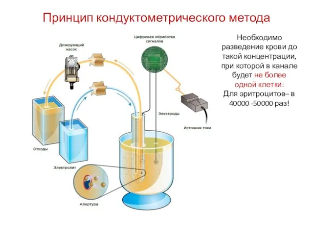 Photo by J.Paul Robinson Принцип кондуктометрического метода Необходимо разведение крови