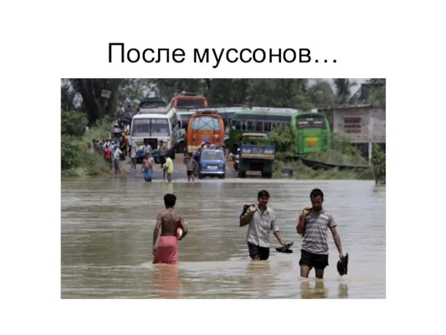 После муссонов…