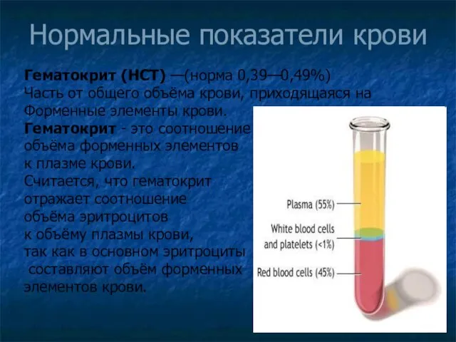 Нормальные показатели крови Гематокрит (HCT) —(норма 0,39—0,49%) Часть от общего