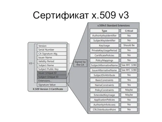Сертификат x.509 v3