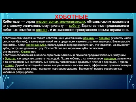 ХОБОТНЫЕ Хо́ботные — отряд плацентарных млекопитающих, обязаны своим названием их