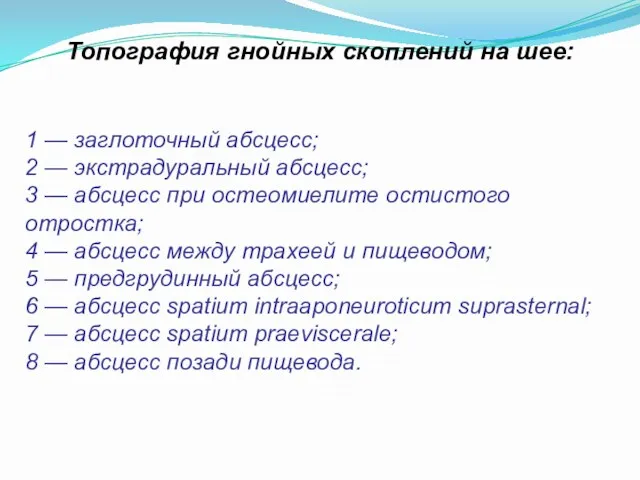 Топография гнойных скоплений на шее: 1 — заглоточный абсцесс; 2