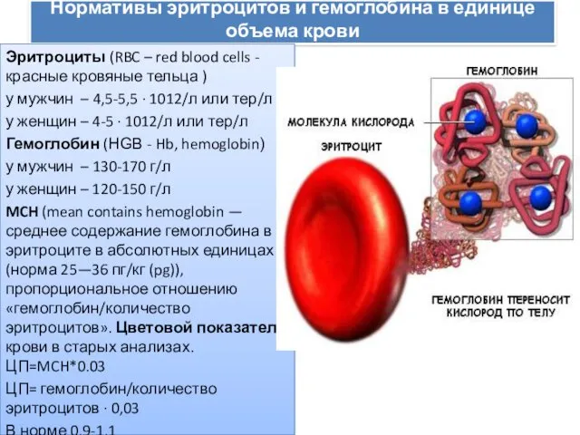 Нормативы эритроцитов и гемоглобина в единице объема крови Эритроциты (RBC