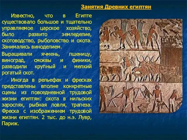 Известно, что в Египте существовало большое и тщательно управляемое царское