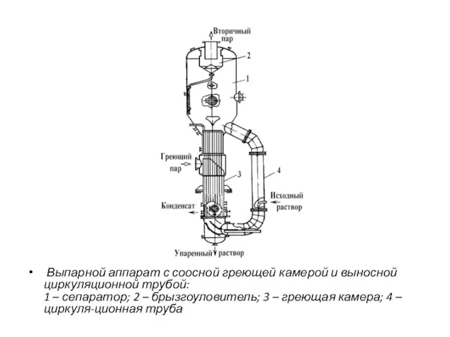 Выпарной аппарат с соосной греющей камерой и выносной циркуляционной трубой: