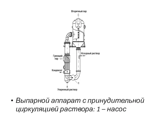 Выпарной аппарат с принудительной циркуляцией раствора: 1 – насос