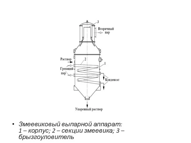 Змеевиковый выпарной аппарат: 1 – корпус; 2 – секции змеевика; 3 – брызгоуловитель