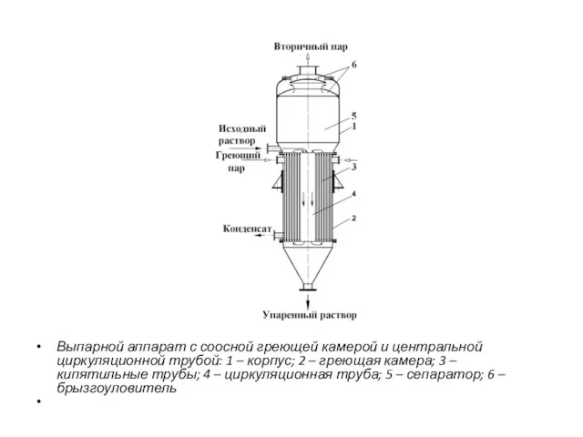 Выпарной аппарат с соосной греющей камерой и центральной циркуляционной трубой: