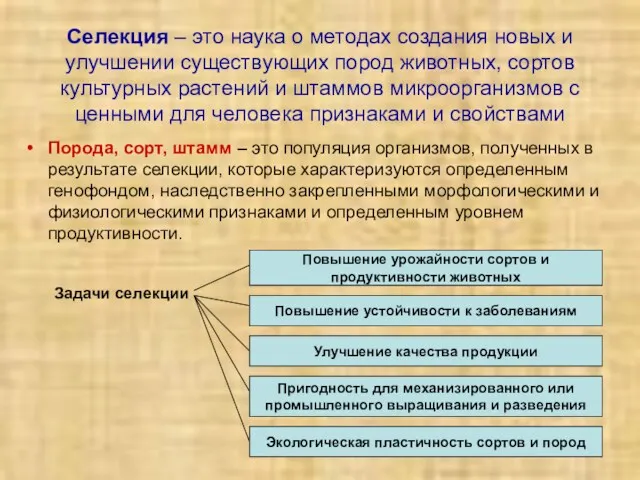 Селекция – это наука о методах создания новых и улучшении