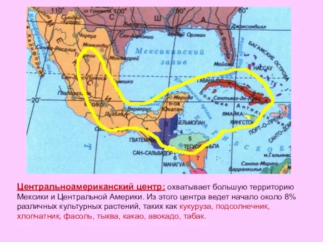 Центральноамериканский центр: охватывает большую территорию Мексики и Центральной Америки. Из