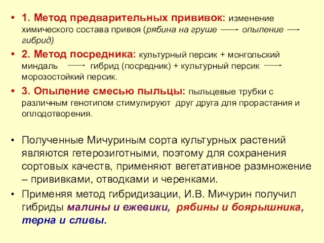 1. Метод предварительных прививок: изменение химического состава привоя (рябина на