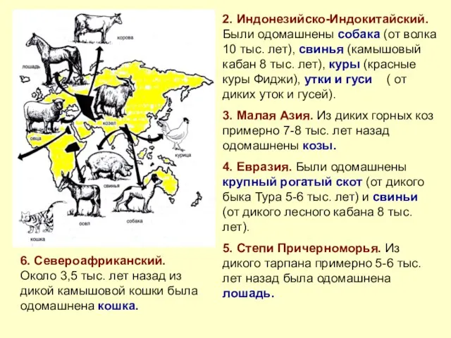 2. Индонезийско-Индокитайский. Были одомашнены собака (от волка 10 тыс. лет),