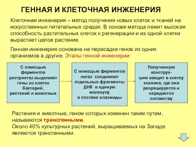 ГЕННАЯ И КЛЕТОЧНАЯ ИНЖЕНЕРИЯ Клеточная инженерия – метод получения новых