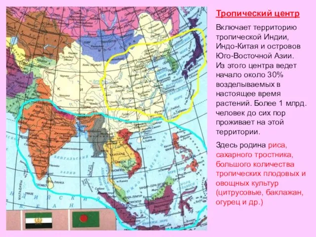 Тропический центр Включает территорию тропической Индии, Индо-Китая и островов Юго-Восточной