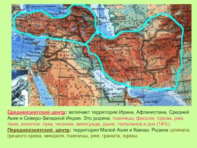 Среднеазиатский центр: включает территории Ирана, Афганистана, Средней Азии и Северо-Западной