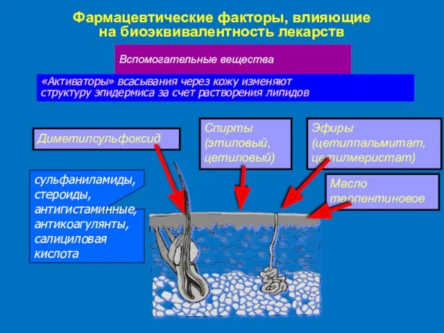 Фармацевтические факторы, влияющие на биоэквивалентность лекарств Вспомогательные вещества «Активаторы» всасывания