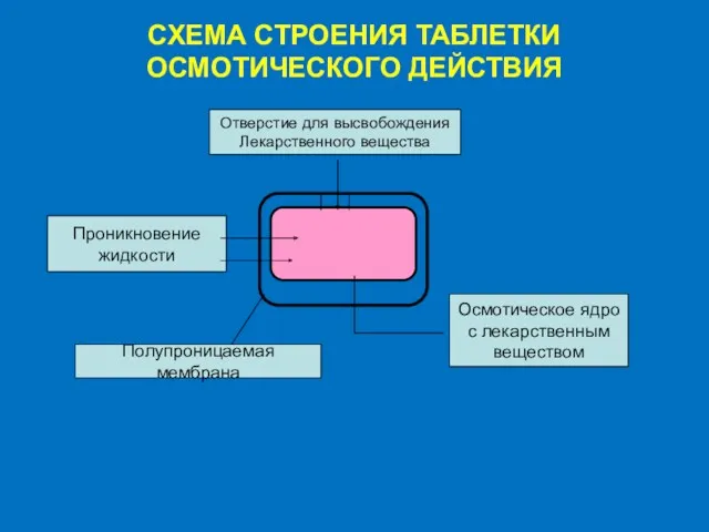 СХЕМА СТРОЕНИЯ ТАБЛЕТКИ ОСМОТИЧЕСКОГО ДЕЙСТВИЯ Отверстие для высвобождения Лекарственного вещества