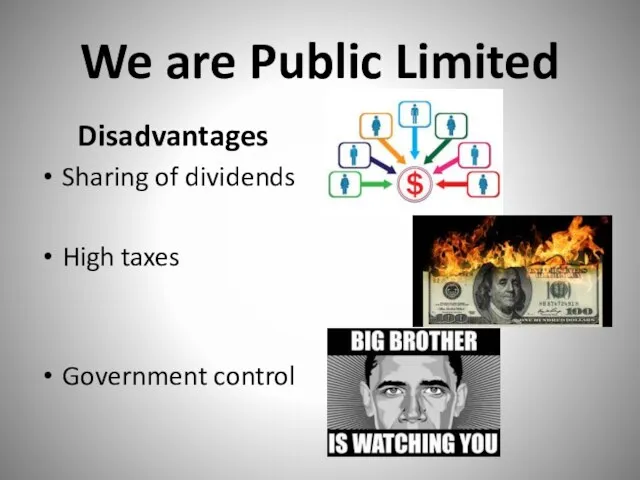 We are Public Limited Disadvantages Sharing of dividends High taxes Government control