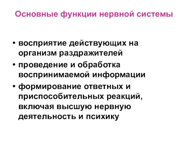 Основные функции нервной системы восприятие действующих на организм раздражителей проведение