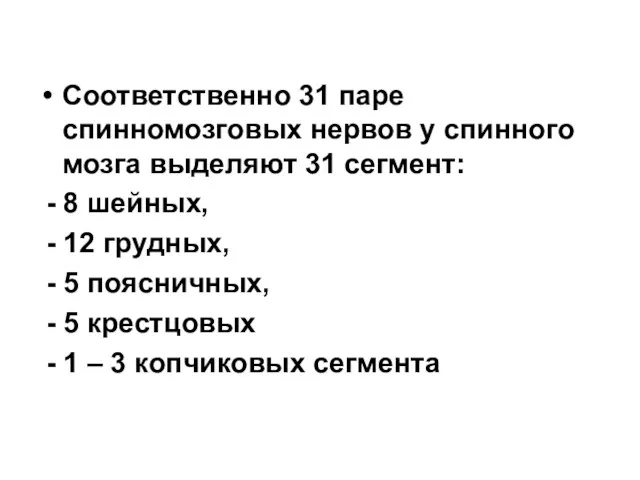 Соответственно 31 паре спинномозговых нервов у спинного мозга выделяют 31