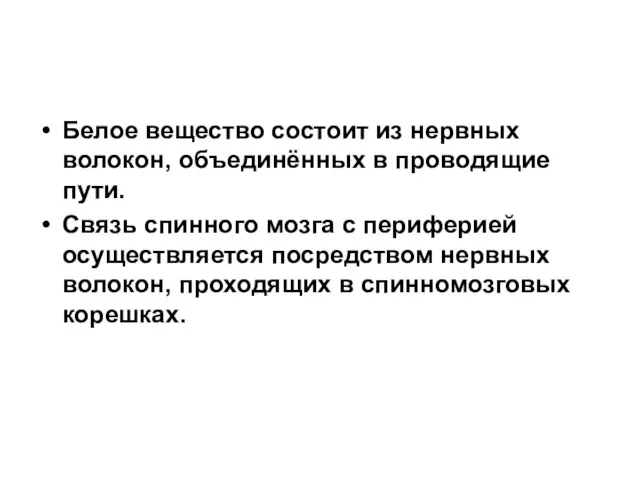 Белое вещество состоит из нервных волокон, объединённых в проводящие пути.