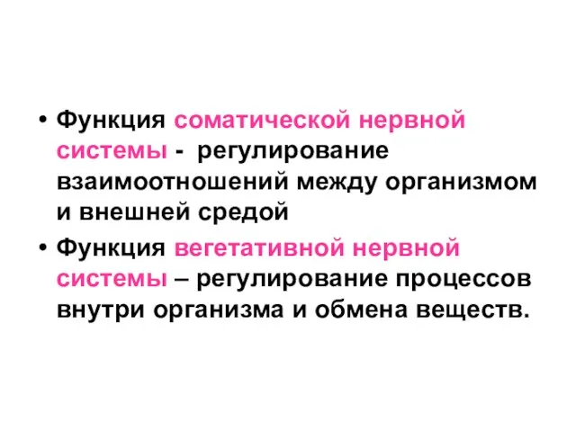 Функция соматической нервной системы - регулирование взаимоотношений между организмом и