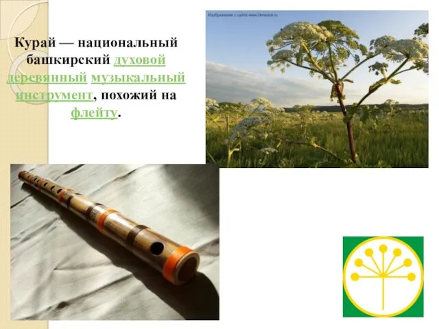 Курай — национальный башкирский духовой деревянный музыкальный инструмент, похожий на флейту.
