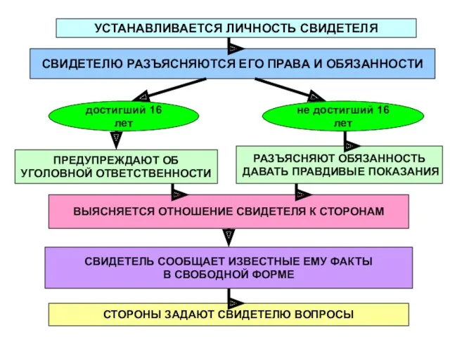 УСТАНАВЛИВАЕТСЯ ЛИЧНОСТЬ СВИДЕТЕЛЯ СВИДЕТЕЛЮ РАЗЪЯСНЯЮТСЯ ЕГО ПРАВА И ОБЯЗАННОСТИ достигший