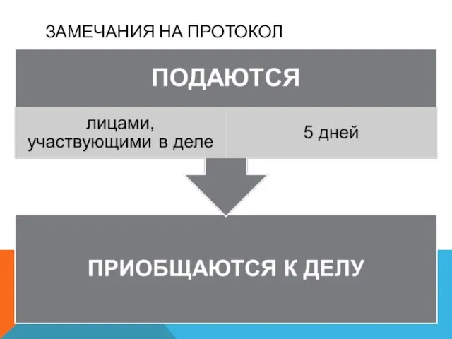 ЗАМЕЧАНИЯ НА ПРОТОКОЛ