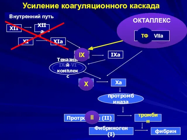 Усиление коагуляционного каскада Xa X протромбиназа тромбин Протромбин (II) фибрин