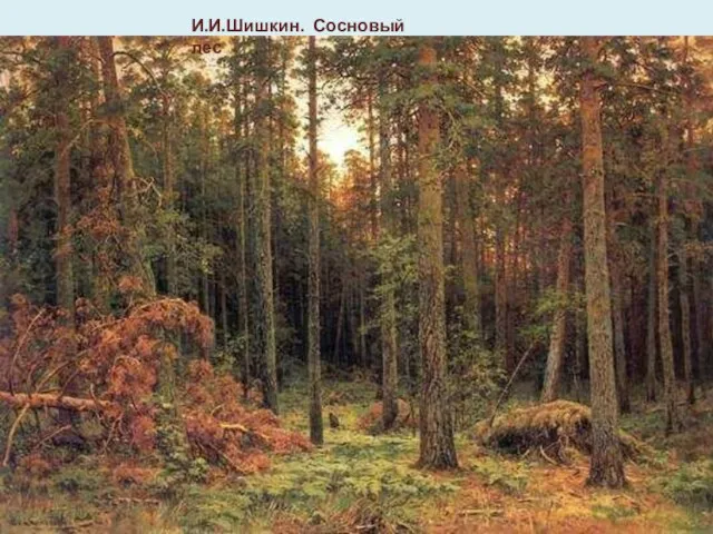 И.И.Шишкин. Сосновый лес