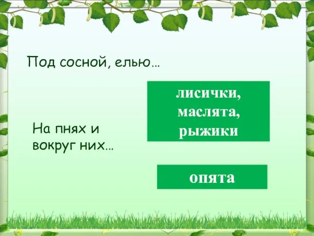 Под сосной, елью… лисички, маслята, рыжики На пнях и вокруг них… опята