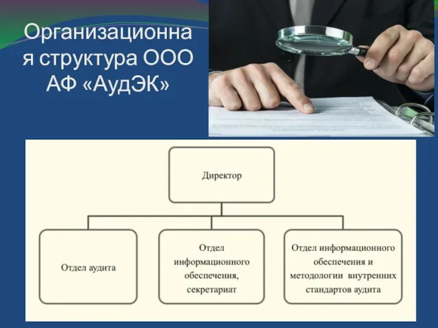 Организационная структура ООО АФ «АудЭК»