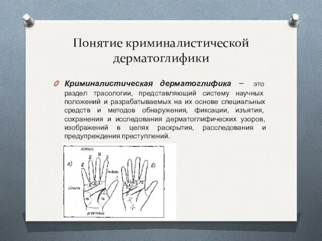 Понятие криминалистической дерматоглифики Криминалистическая дерматоглифика – это раздел трасологии, представляющий