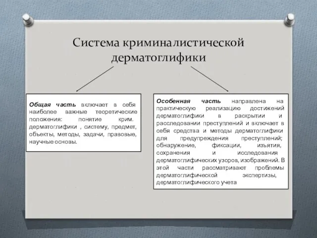 Система криминалистической дерматоглифики Общая часть включает в себя наиболее важные