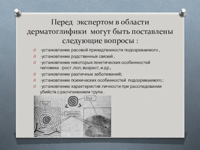 Перед экспертом в области дерматоглифики могут быть поставлены следующие вопросы