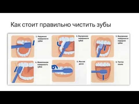 Как стоит правильно чистить зубы