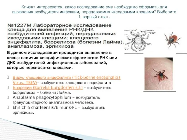 Клиент интересуется, какое исследование ему необходимо оформить для выявления возбудителя