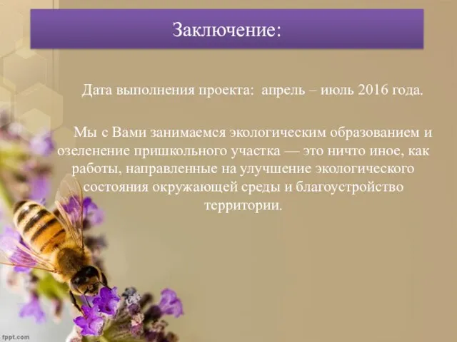 Заключение: Дата выполнения проекта: апрель – июль 2016 года. Мы