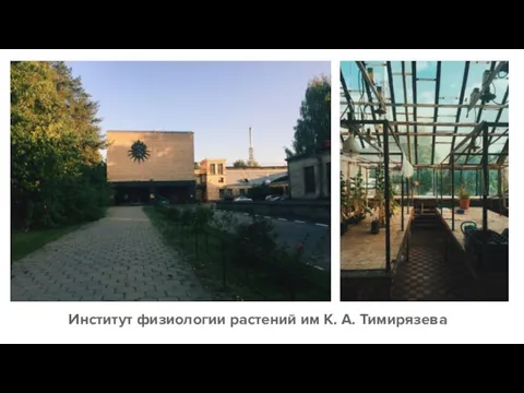 Институт физиологии растений им К. А. Тимирязева