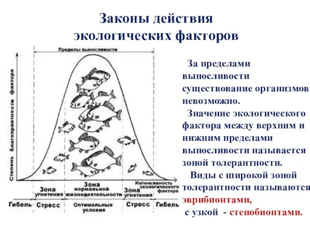 За пределами выносливости существование организмов невозможно. Значение экологического фактора между