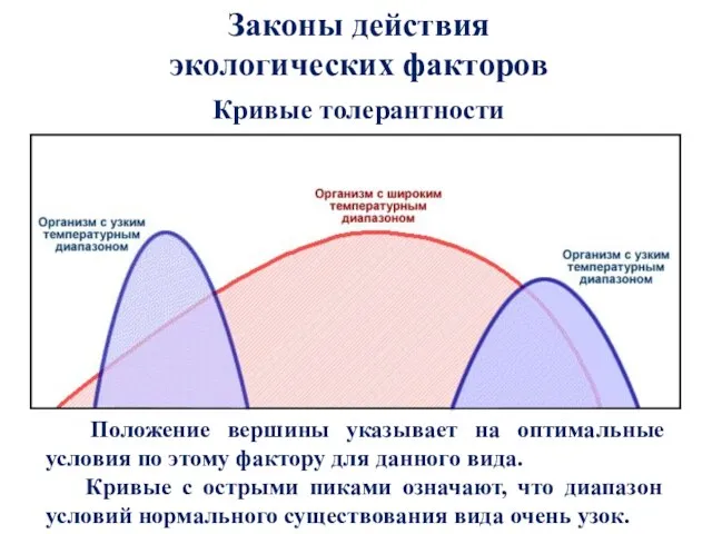 Законы действия экологических факторов Кривые толерантности Положение вершины указывает на